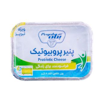 پنیر پروبیوتیک پگاه 400 گرمی