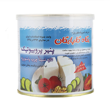 پنیر پروبیوتیک پگاه 400 گرمی